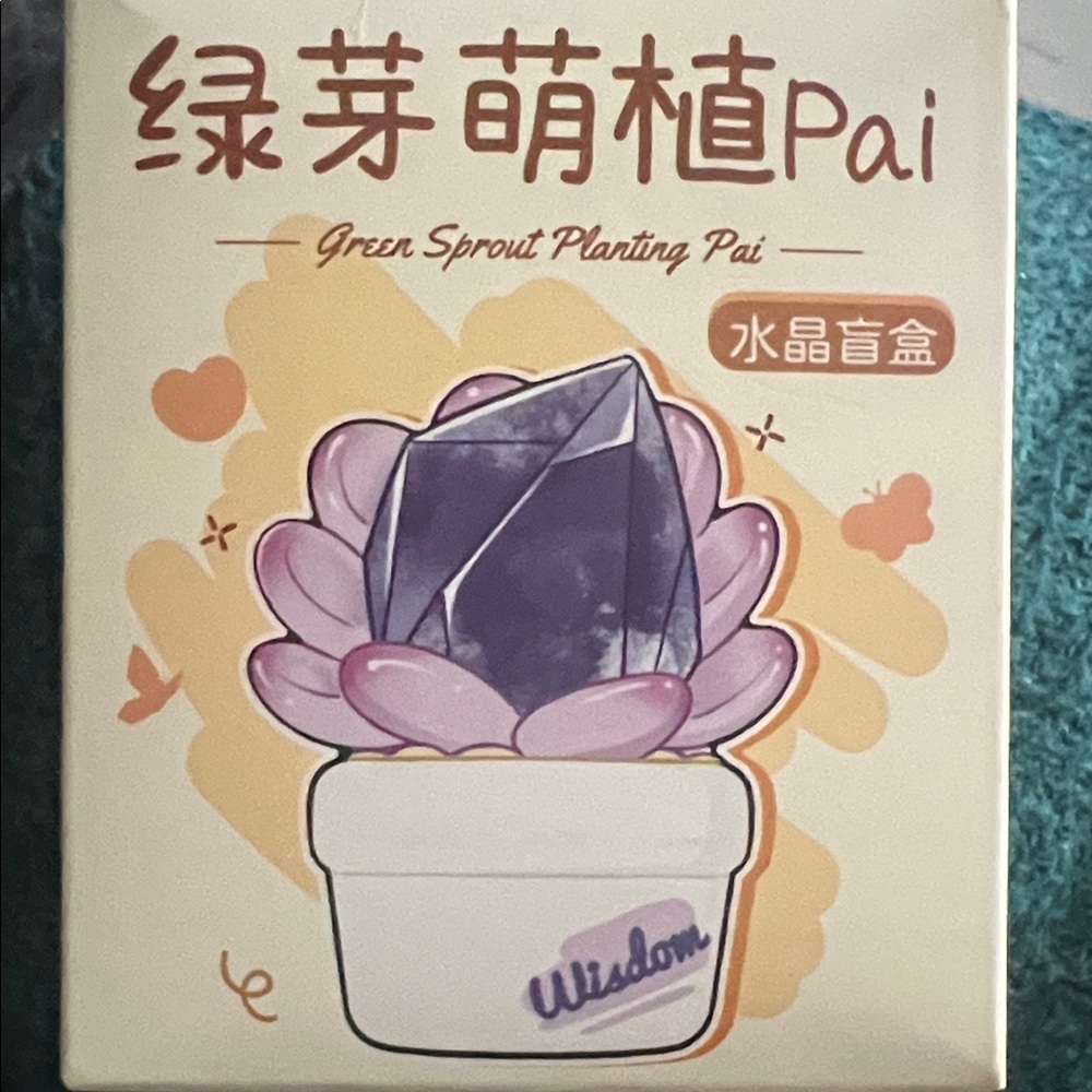 🚨sold 🚨Green sprouting plantings pai blind box
